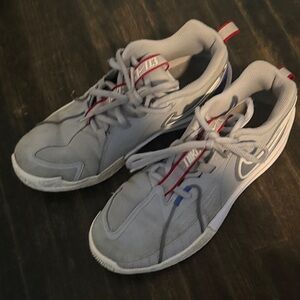 Nike Gray Sneakers with Blue and Red Accents